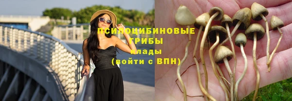 кокаин колумбия Горняк