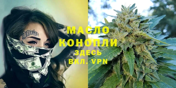 молекула духа Горнозаводск