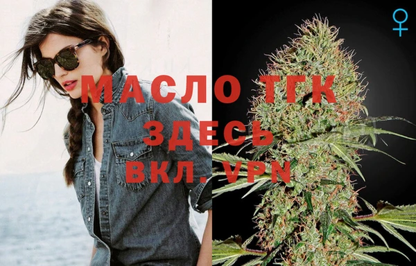 молекула духа Горнозаводск