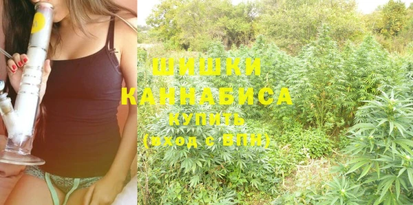 молекула духа Горнозаводск